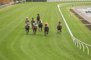 Royal Celebration steps up at Randwick