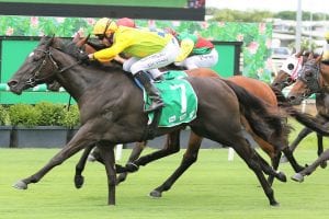 The Roses betting picks & top odds | Doomben, Race 9 | 22/5/2021