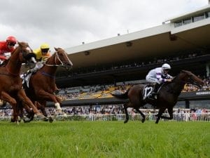 Leading fancies draw wide in The Goodwood