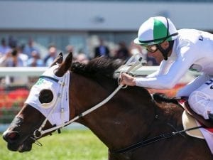 Jamaican Rain right to take Goodwood spot