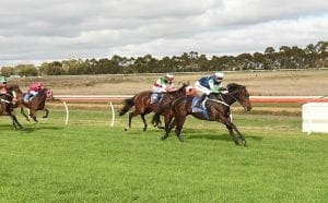 Brother of Cup winner wins at Hamilton