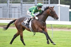 Australia beckons for Tavistock’s gifted son