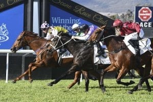 Bartley's triple treat at Scone carnival