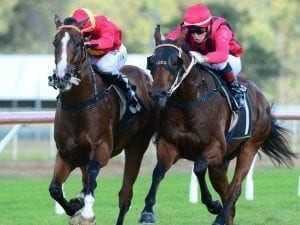 Banner Season earns Queensland Derby berth