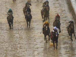 Justify works on soggy Pimlico track