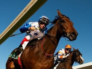 The Bostonian wins G1 Kingsford Smith Cup