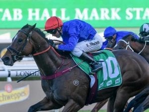 Godolphin sprinter Trekking well for Cup