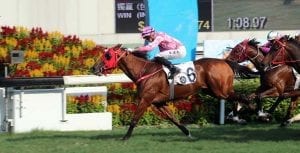 Lucky year wins Hong Kong Vase