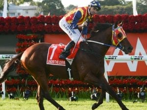 Louvre to fly in for Kingsford-Smith Cup