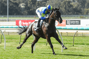 The Straight Six race tips & odds | Flemington | 22/5/2021