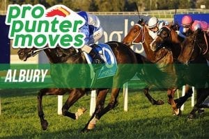 Albury market movers for Monday, May 14