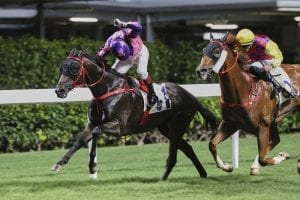 Doleuze salutes as French celebrations conclude at Happy Valley