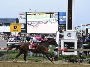 War of Will wins Preakness Stakes