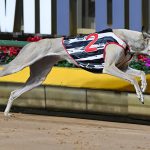 Race 7 – Collinda Lady