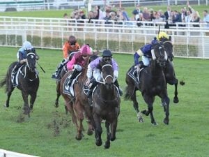 She Knows on track for Randwick success