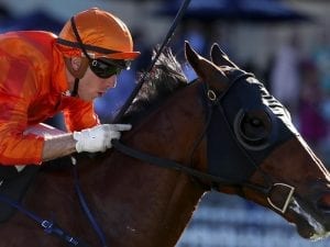 Dreamforce resumes in style at Randwick