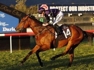 Weighty task confronts in-form sprinter