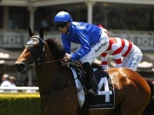 Savatiano romps home in Randwick victory