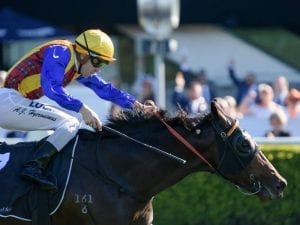 Prince Fawaz favourite for G1 JJ Atkins