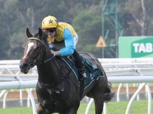 Diamond Thunder on trial for Brisbane trip