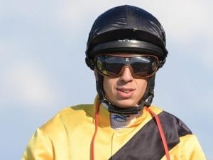 The Getaway eyes off McKell Cup back-up