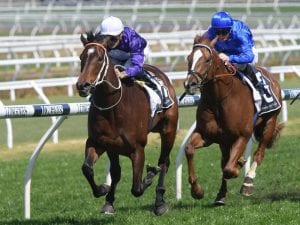 Blinkers go on Lees filly at Rosehill