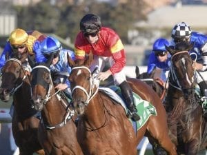 Fitting win for I Am Serious at Rosehill