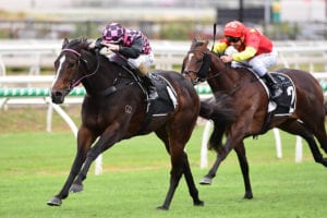 2021 Champagne Classic betting tips & top odds | Doomben, Race 5