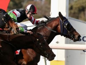 Gennady gets the job done at Sandown