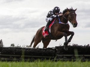 John Allen jumps to another Sandown double