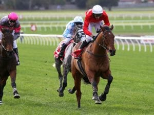 Sir Lopez too strong in Australian Steeple