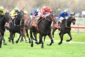 Progressive Scandalo earns deserved break