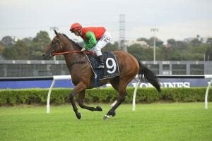 Luck changes for Seasons at Warwick Farm