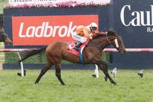 BRC Sprint betting preview, tips & best odds | Doomben, Race 8