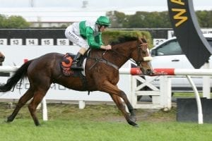 Sprinter back to his front-running best