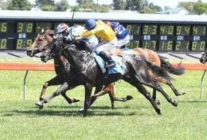 Byrne a boost for Terra Sancta in Qld Oaks