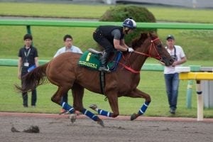 Western Express on track as Size aims a 10th shot at Yasuda Kinen