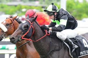 Don't rule Private Eye out of Kingsford-Smith Cup at Eagle Farm