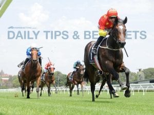 Today's horse racing tips & best bets | May 19, 2021