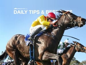 Today's horse racing tips & best bets | May 20, 2021