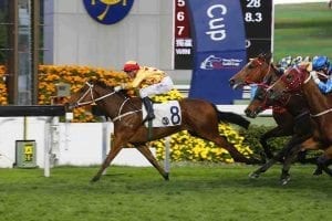 Gold Mount wins at Sha Tin