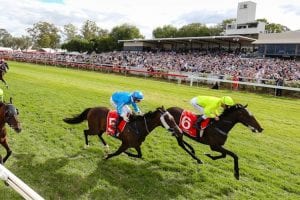 Albury betting tips, value bets & top odds | Monday, May 24