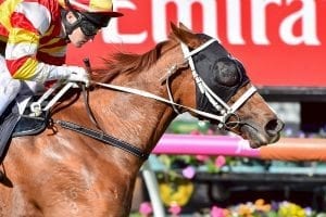 Overstep wins at Flemington