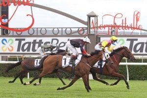 Morphettville racecourse in Adelaide, South Australia