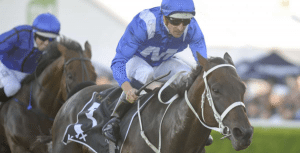 Winx wins 2016 Doncaster