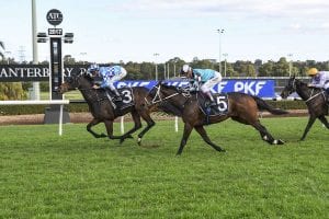 Balius wins at Canterbury