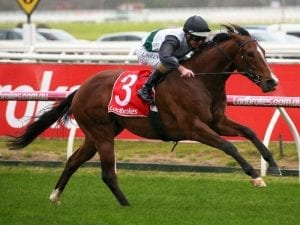 Smart Elissim bounces back to winning form