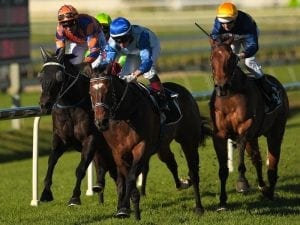 Luck of the Irish for veteran sprinter