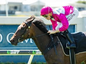 Hellyer excited about Guineas ride