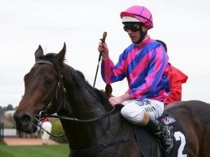 Good 'n' Fast registers Flemington victory